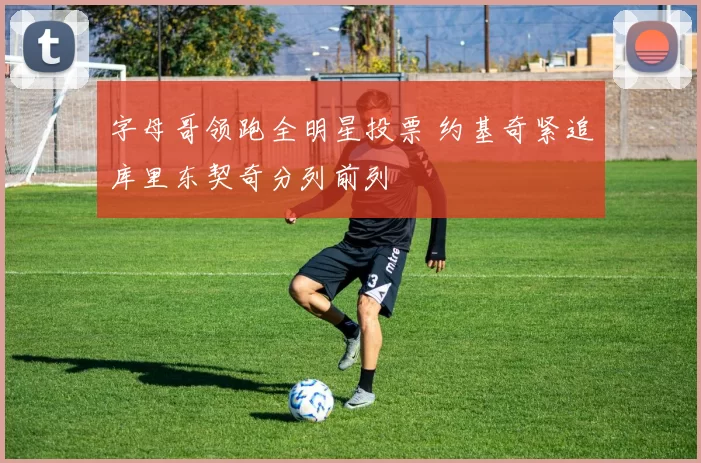 字母哥领跑全明星投票 约基奇紧追库里东契奇分列前列