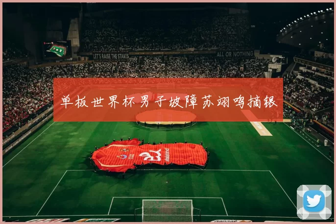 单板世界杯男子坡障苏翊鸣摘银