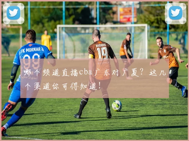 哪个频道直播cba广东对广夏？这几个渠道你可得知道！