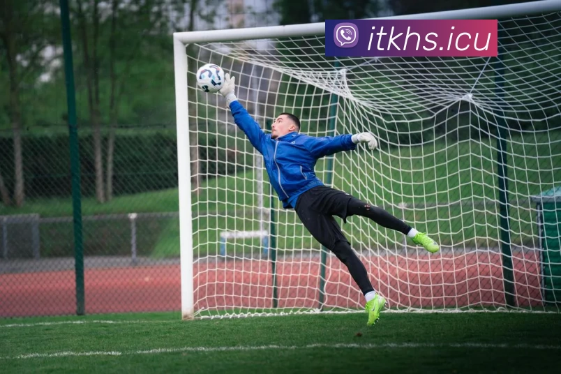 九游(中国)体育第一门户 - 官方网站服务体系